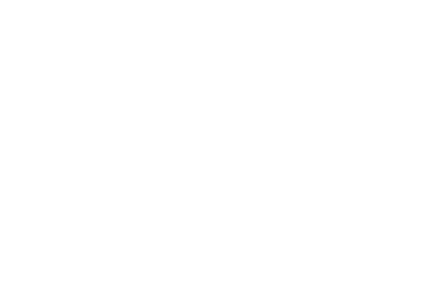 Root 29